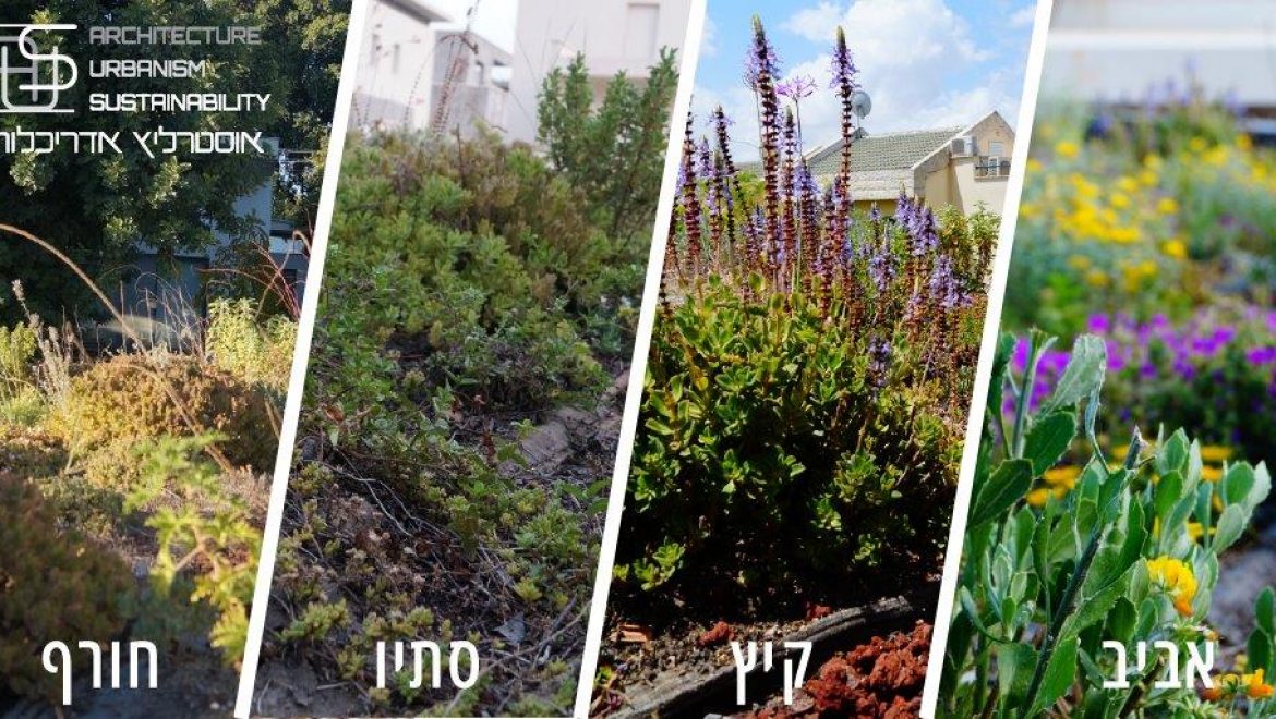 גגות ירוקים במבני ציבור בישראל