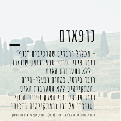 מה זה נופאדם?