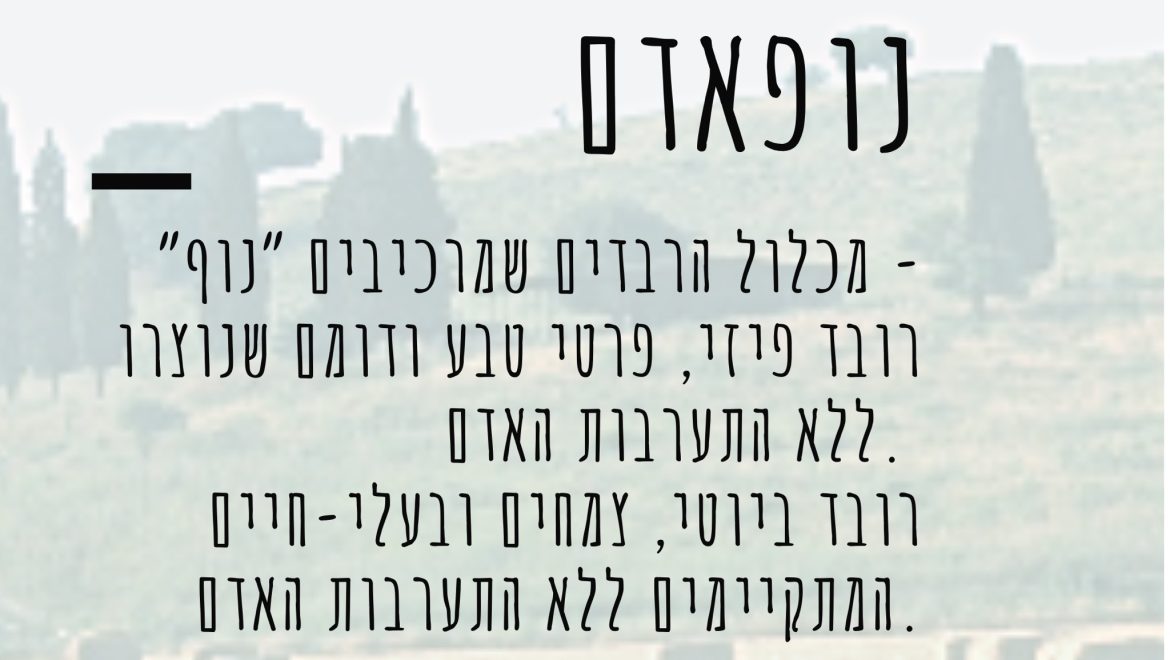 מה זה נופאדם?