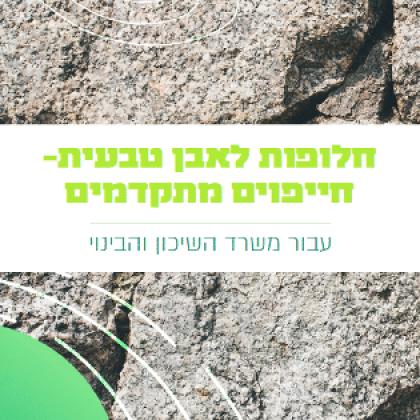 חיפויי אבן – מה הבעיות וחלופות מתועשות עדיפות וירוקות