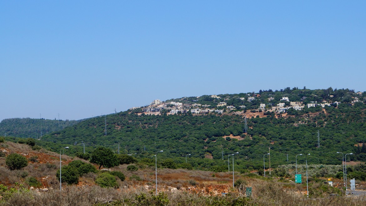 זרמי העומק של האדריכלות הירוקה // קורס מרחבים ירוקים 2015-16