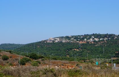 זרמי העומק של האדריכלות הירוקה // קורס מרחבים ירוקים 2015-16