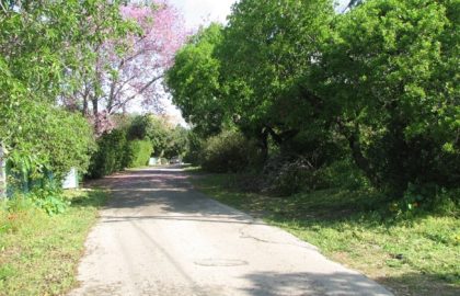 צל רחובות היסטוריים