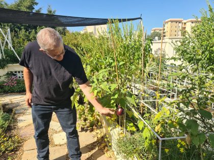 גגות ירוקים – תכנון וטכנולוגיות