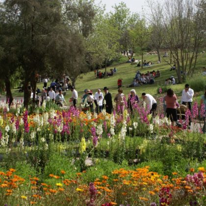 Public gardens across globe admire new model in Jerusalem // כתבת עיתונות