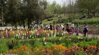 Public gardens across globe admire new model in Jerusalem // כתבת עיתונות