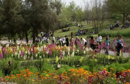 Public gardens across globe admire new model in Jerusalem // כתבת עיתונות