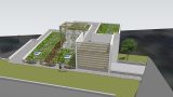 green roof house_process_2